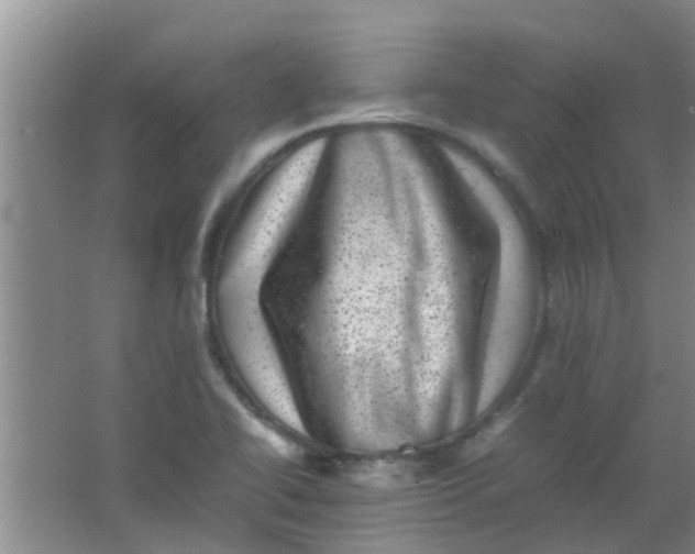 X0000062131414200512231425