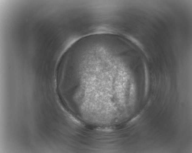 X0000062131415200512231425