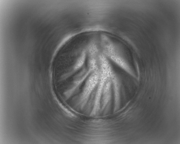 X0000062131416200512231425