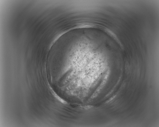 X0000062131417200512231425