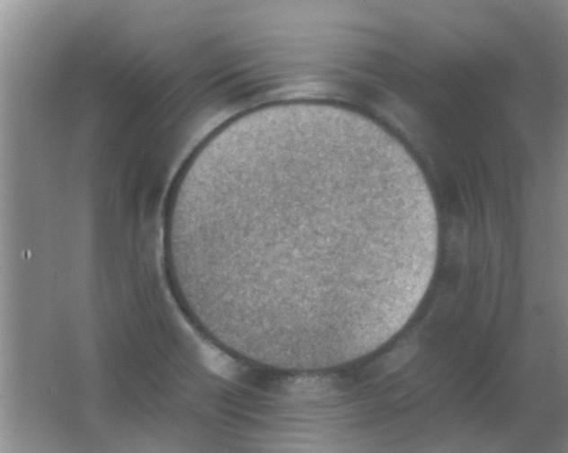 X0000062131418200512231425