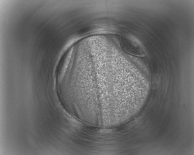 X0000062131419200512231425