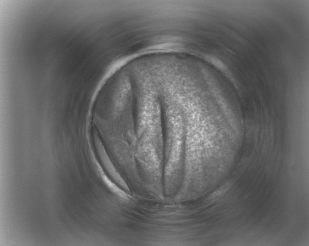 X0000062131421200512231425