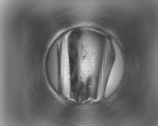 X0000062131422200512231425