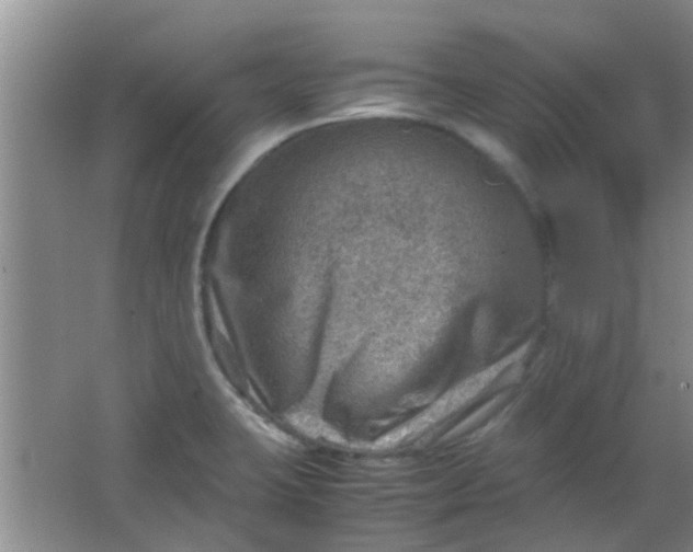 X0000062131423200512231426