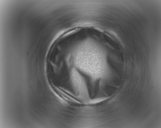 X0000062131424200512231426