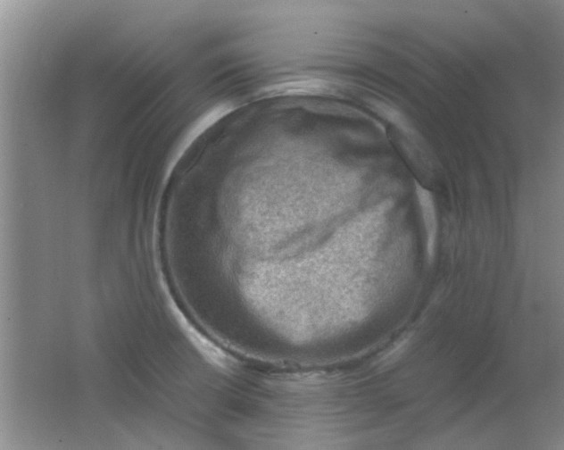 X0000062131426200512231426