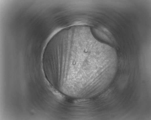 X0000062131427200512231426