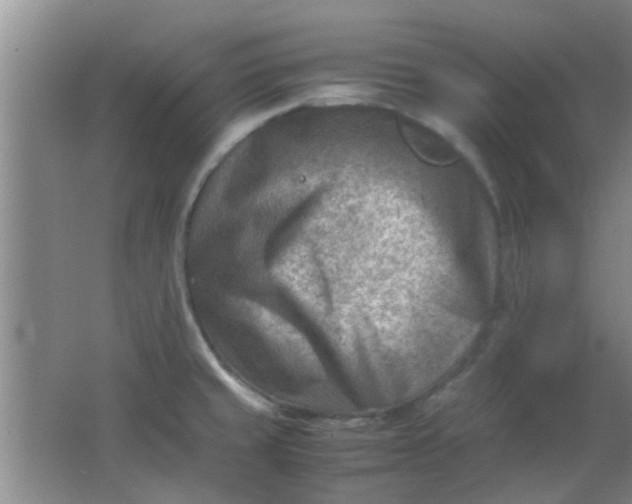 X0000062131429200512231426