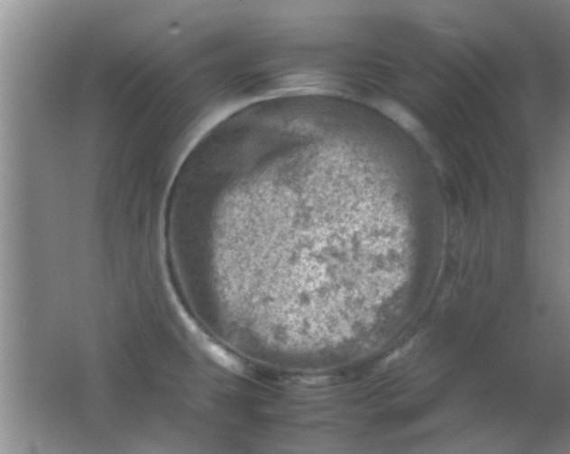 X0000062131431200512231426