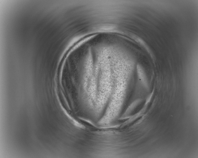 X0000062131432200512231426