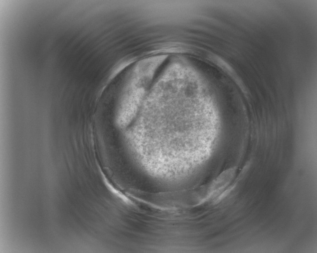 X0000062131433200512231426