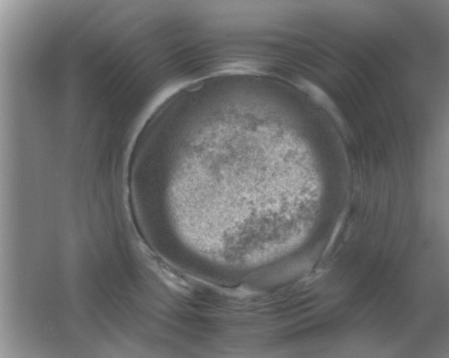 X0000062131435200512231426