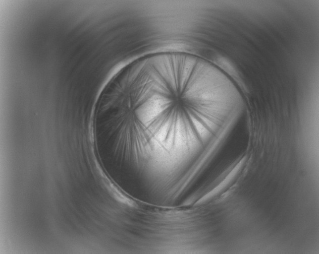 X0000062131436200512231426