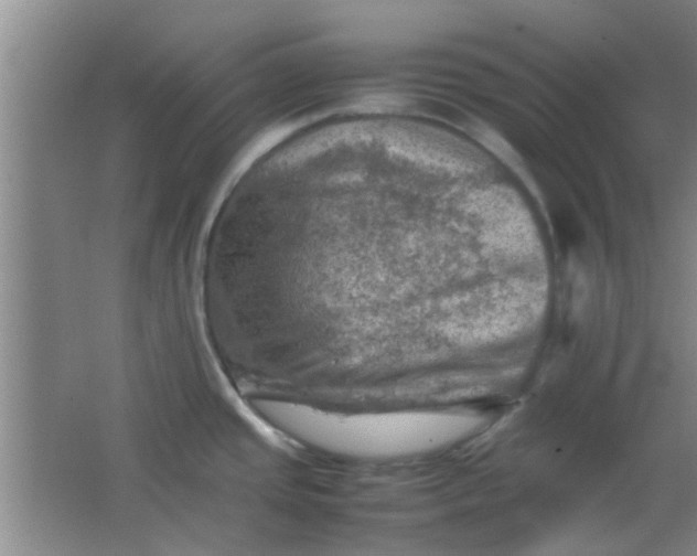 X0000062131437200512231426