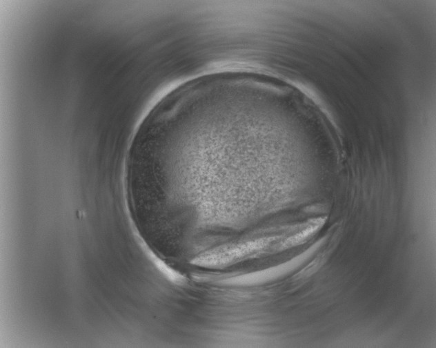 X0000062131438200512231426