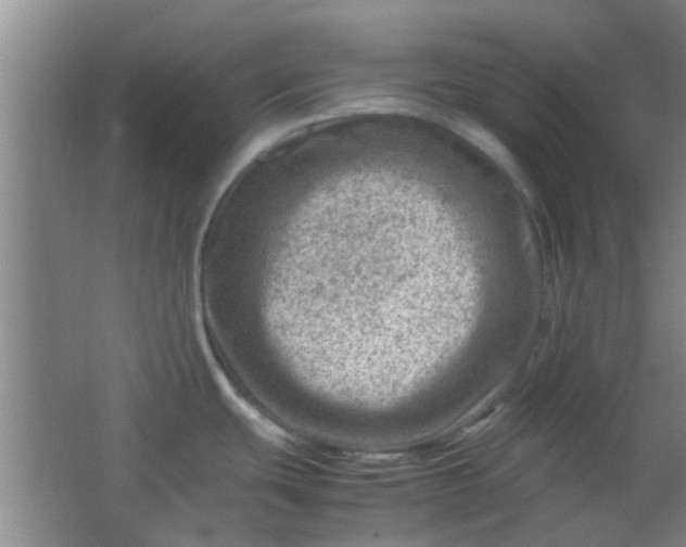 X0000062131439200512231426