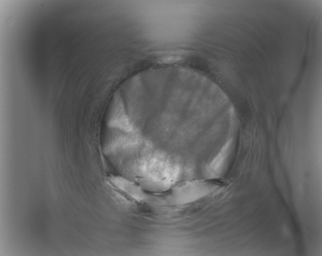 X0000062131441200512231425