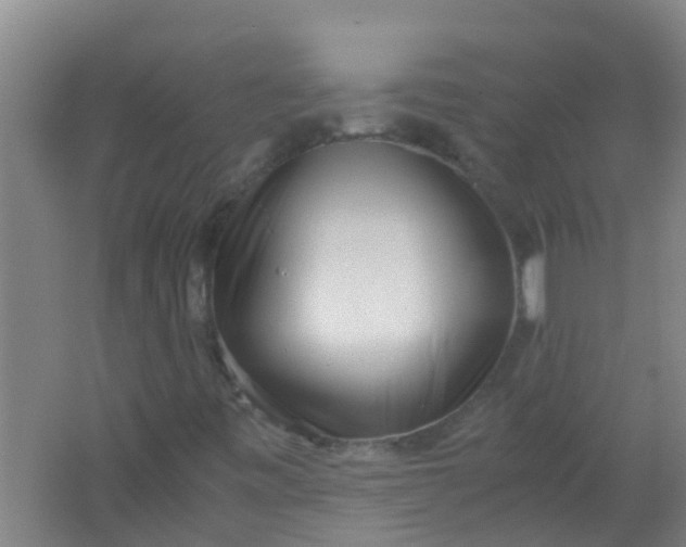 X0000062131443200512231425