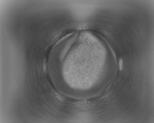 X0000062131444200512231425