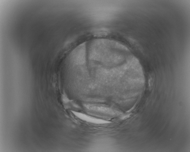 X0000062131445200512231425