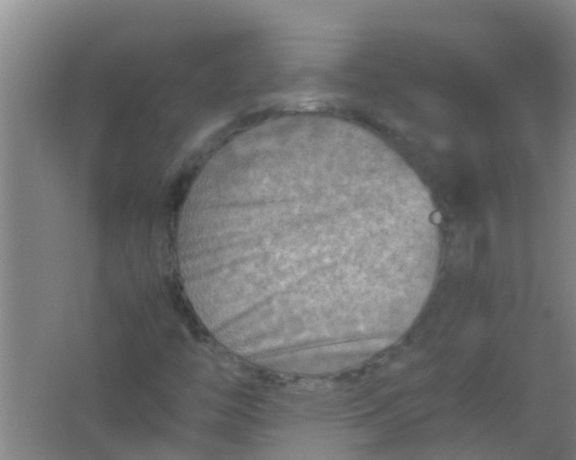 X0000062131446200512231425