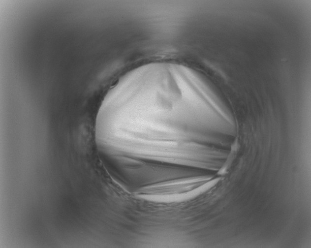 X0000062131447200512231425