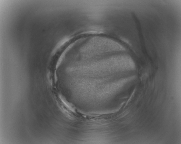 X0000062131448200512231425