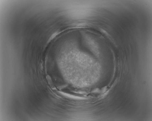 X0000062131449200512231425