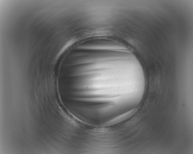 X0000062131450200512231425