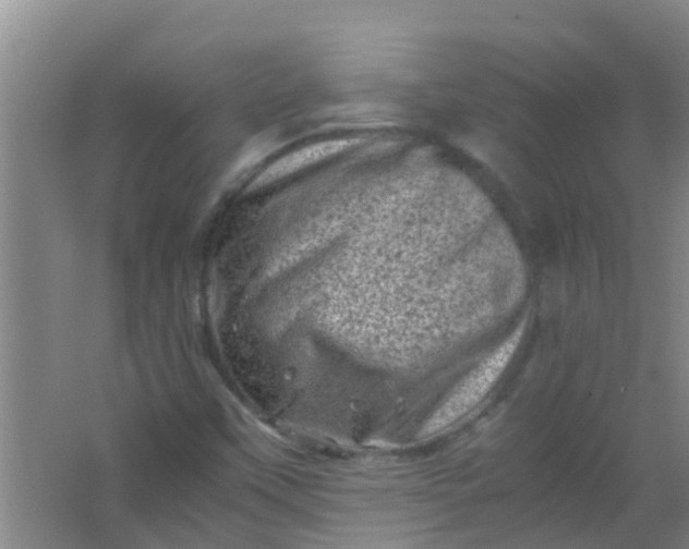 X0000062131451200512231425