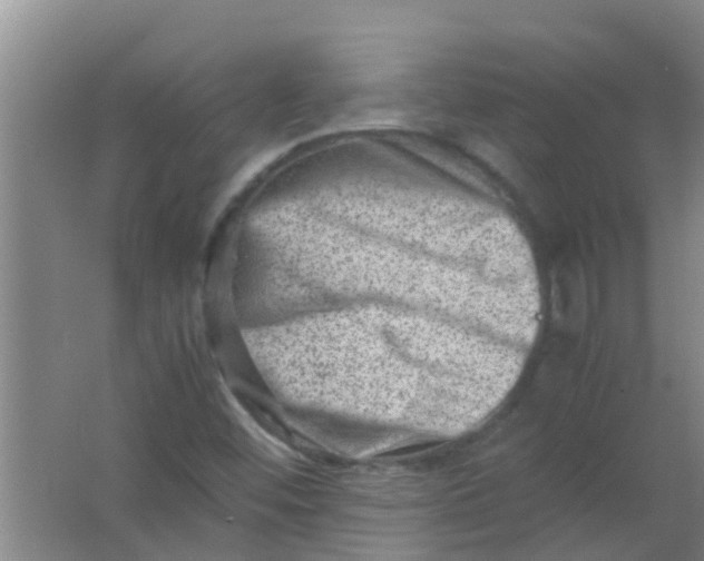 X0000062131452200512231425