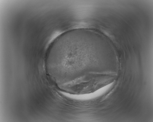 X0000062131453200512231425