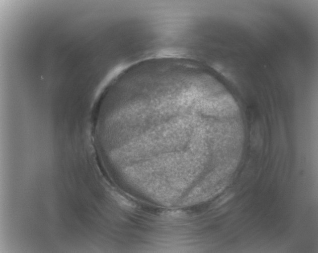 X0000062131454200512231425