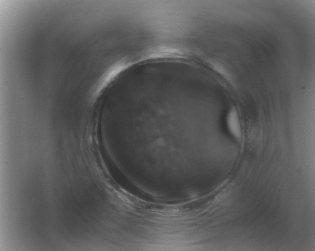 X0000062131455200512231425