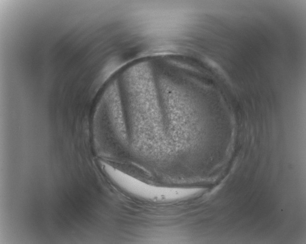 X0000062131457200512231425