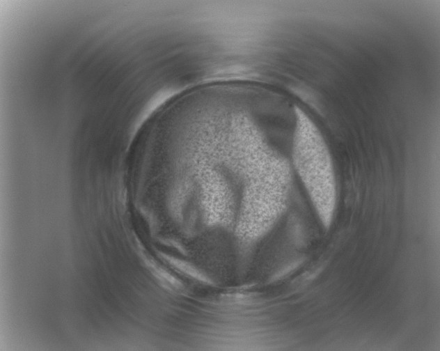 X0000062131458200512231425