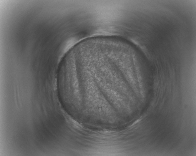 X0000062131459200512231425