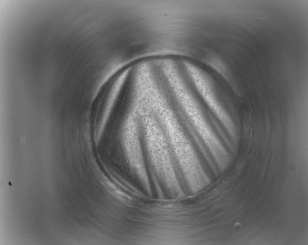 X0000062131460200512231425