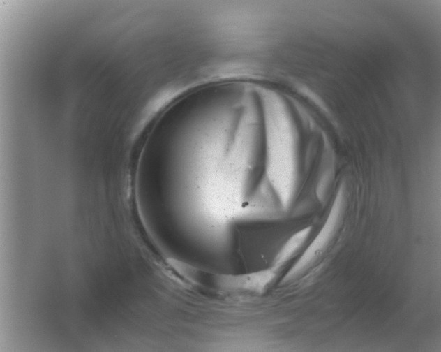 X0000062131461200512231425