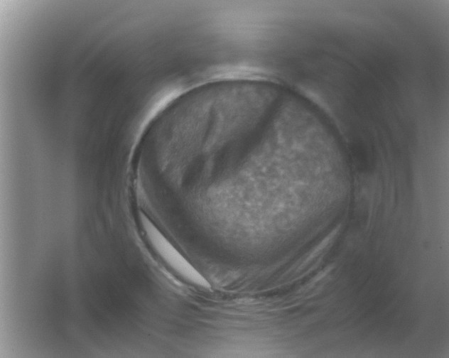 X0000062131463200512231425