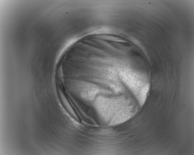 X0000062131464200512231425