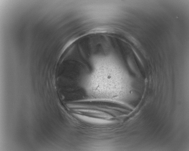 X0000062131465200512231425