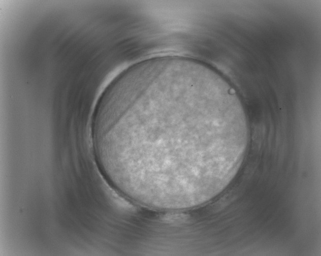 X0000062131466200512231425