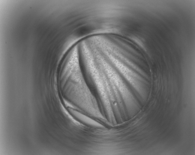 X0000062131468200512231425