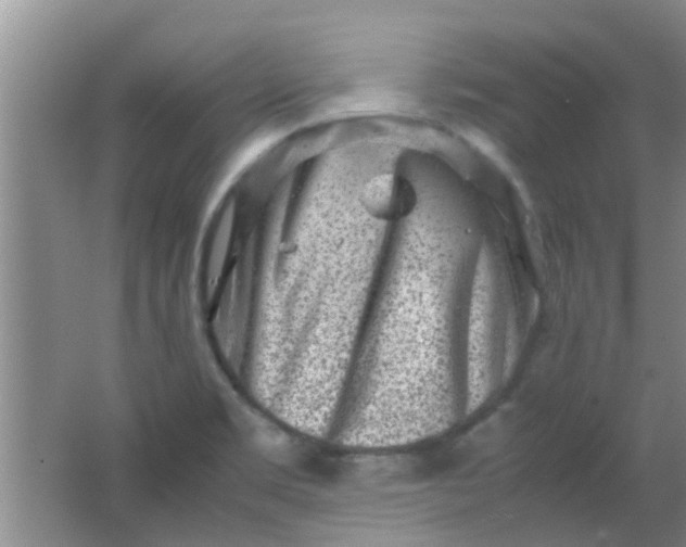 X0000062131469200512231424