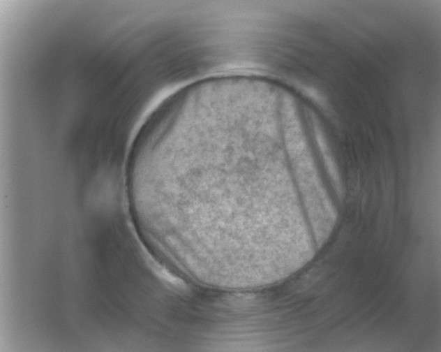 X0000062131470200512231424