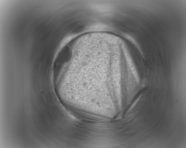 X0000062131472200512231424