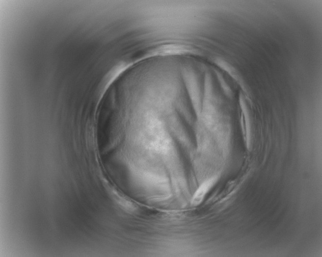 X0000062131473200512231424