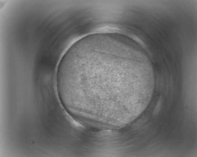 X0000062131478200512231424